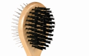 17CM Double Sided Circular Brush Small