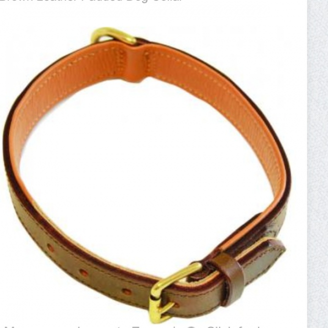 Leather Dog Collar