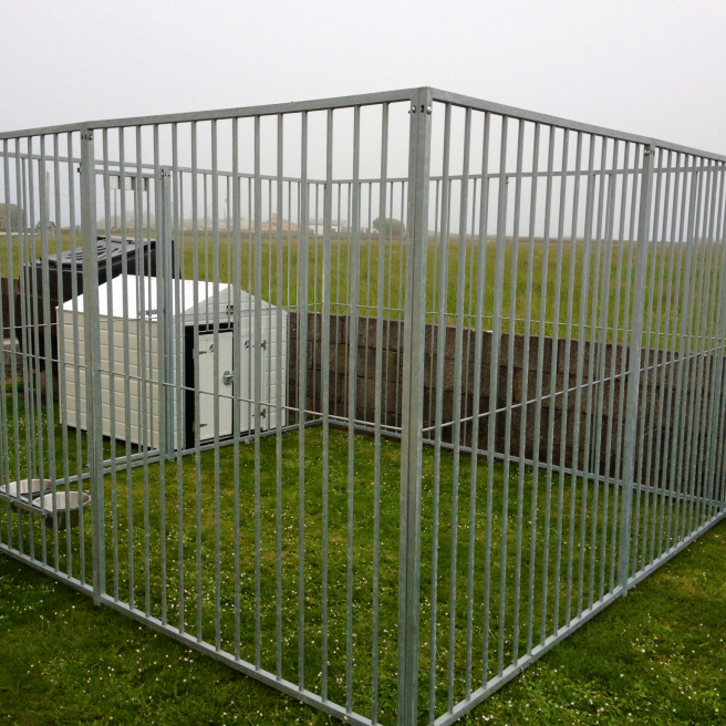 5cm dog sales run panels