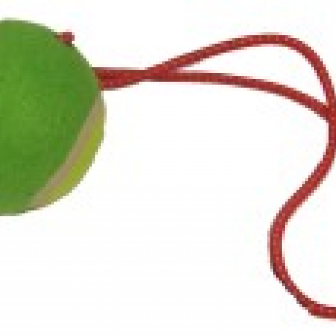 Tennis Ball On A Rope