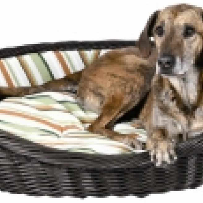 Wicker Basket Pet Bed With Stripped Washable Cushion